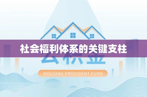 永福社会福利体系的关键支柱
