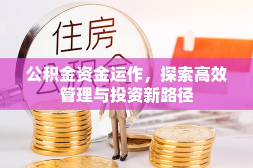 永福公积金资金运作，探索高效管理与投资新路径