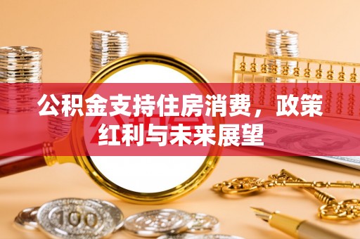 永福公积金支持住房消费，政策红利与未来展望