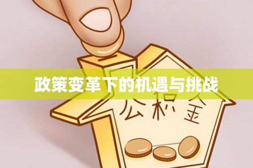 永福政策变革下的机遇与挑战
